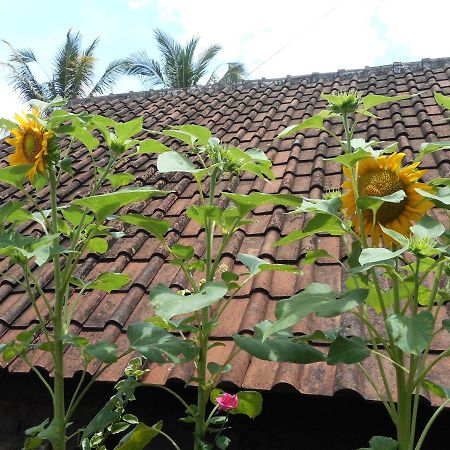 Ming Homestay Sidemen  Esterno foto
