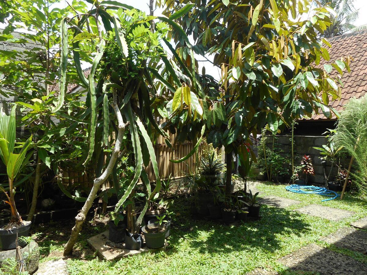Ming Homestay Sidemen  Esterno foto